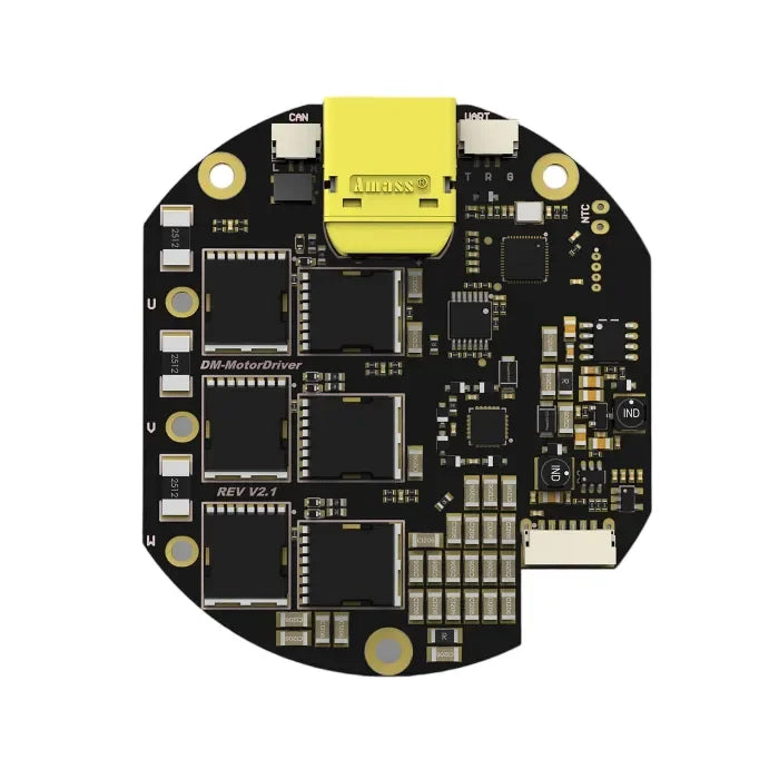 DAMIAO DM100 Borstlös Servosammanfogning Motor MIT Drivare Dubbel Kodare