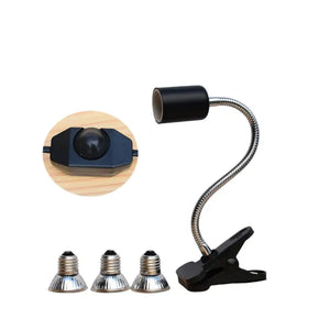 Ordinary switch Full Spectrum-2