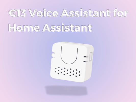 €13 Voice Assistant for Home Assistant - OpenELAB