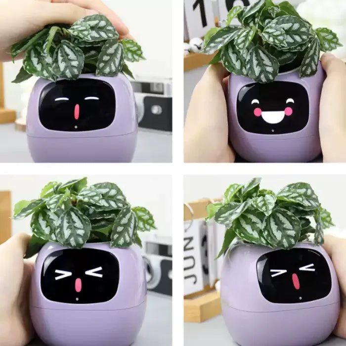 IVY Smart Planter Robot-06