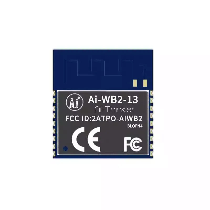 Ai-WB2-13-1