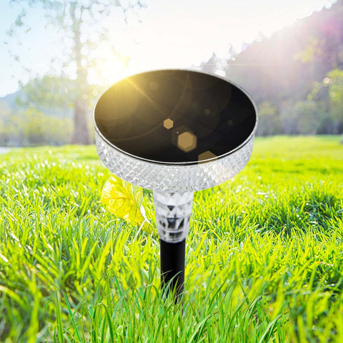 IP65 Waterproof and Moisture-proof Solar Garden Light Large