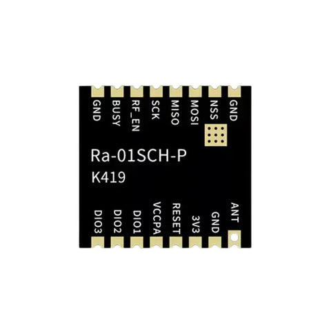 Ra-01SCH-P-2